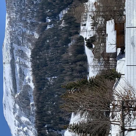 Siesta Apt- 15 By Interhome Daire